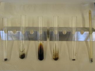 Samples being pretreated in 13 mm culture tubes.